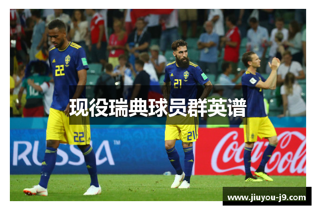 现役瑞典球员群英谱